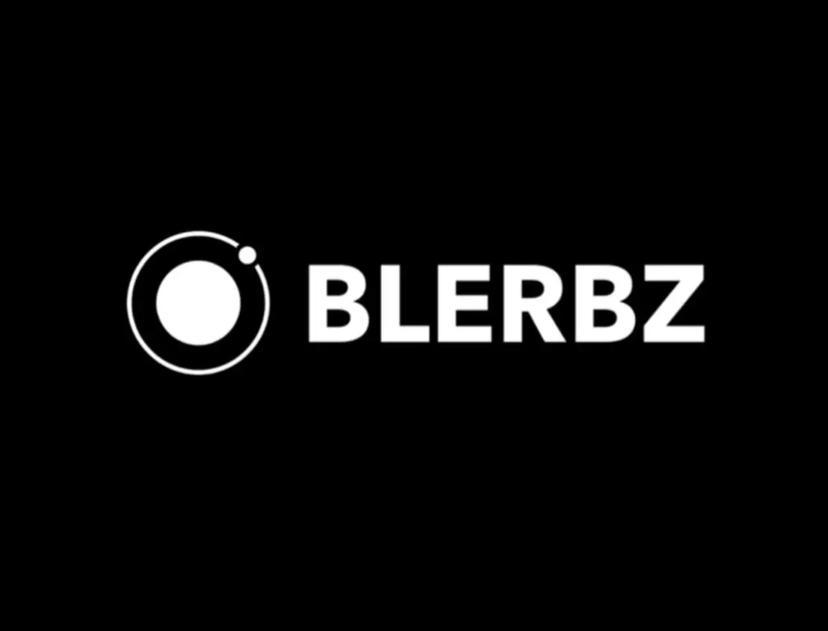 Blerbz image number 21