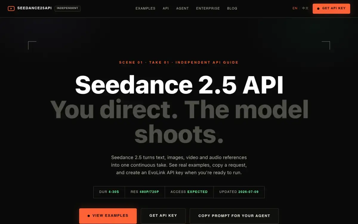 Seedance 25 API product image