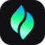verdent
